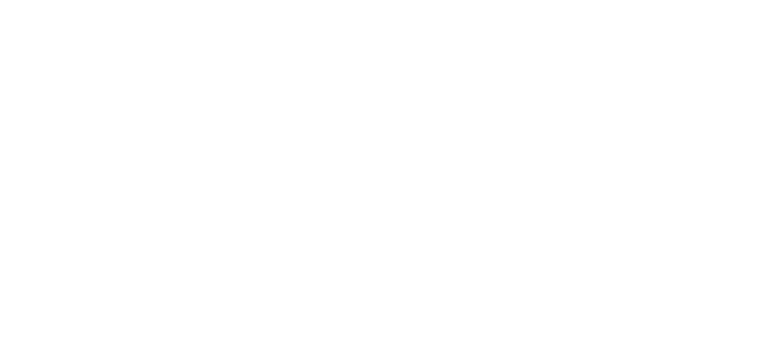 Schonell